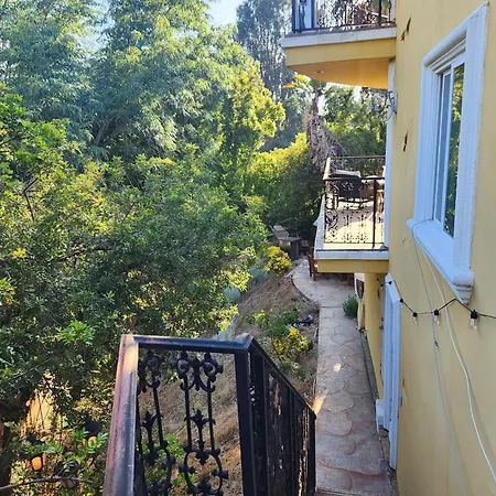 Hollywood Hills Hideout Apartment Los Angeles Exterior photo